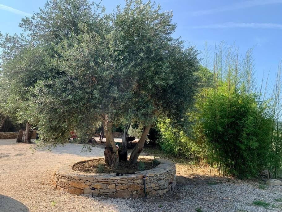 Maison Pipette Pipette Maison Le Castellet  Zewnętrze zdjęcie