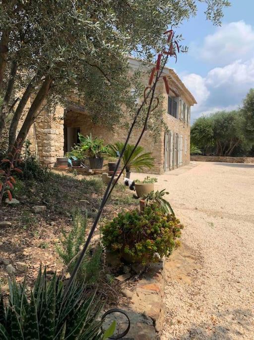 Maison Pipette Pipette Maison Le Castellet  Zewnętrze zdjęcie