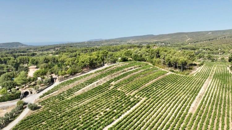 Maison Pipette Pipette Maison Le Castellet  Zewnętrze zdjęcie